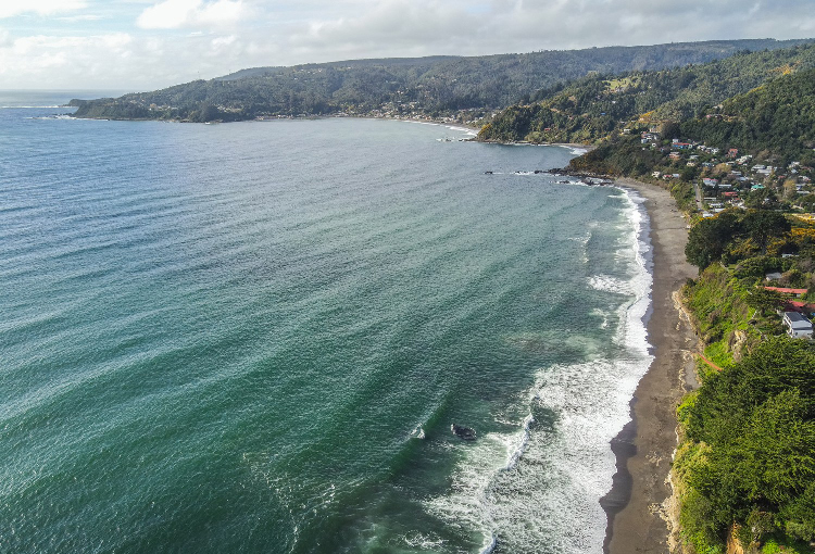 Tribunal Ambiental ordenó paralizar proyectos inmobiliarios en la costa valdiviana