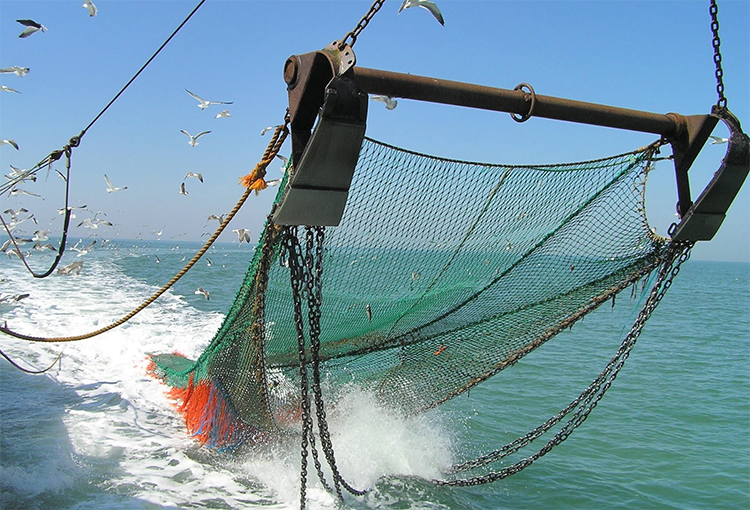Pesca industrial reciclará 1.500 toneladas de redes y aparejos en