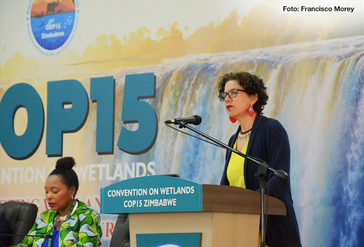 Chile es electo como parte del comité permanente de la Convención Ramsar sobre humedales 