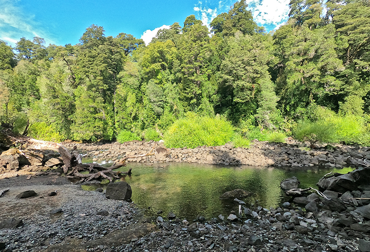 Convención Constitucional consagra la protección de bienes comunes naturales 