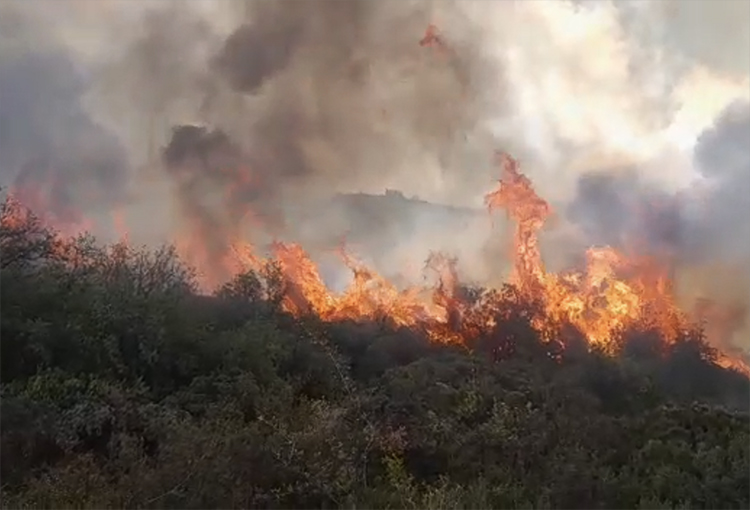 Autoridades declaran alerta roja por incendio forestal en la comuna de Tiltil