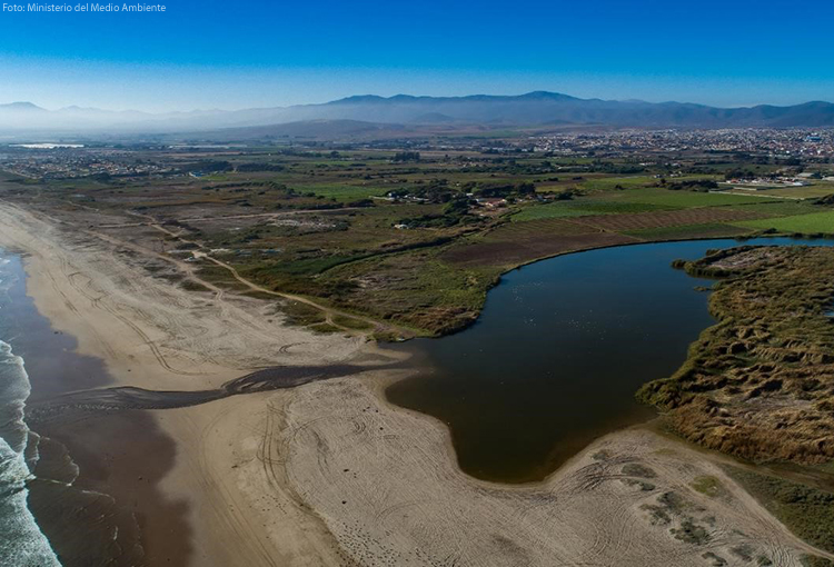 Dueños de predios buscan revocar la declaración de humedal urbano del río Elqui