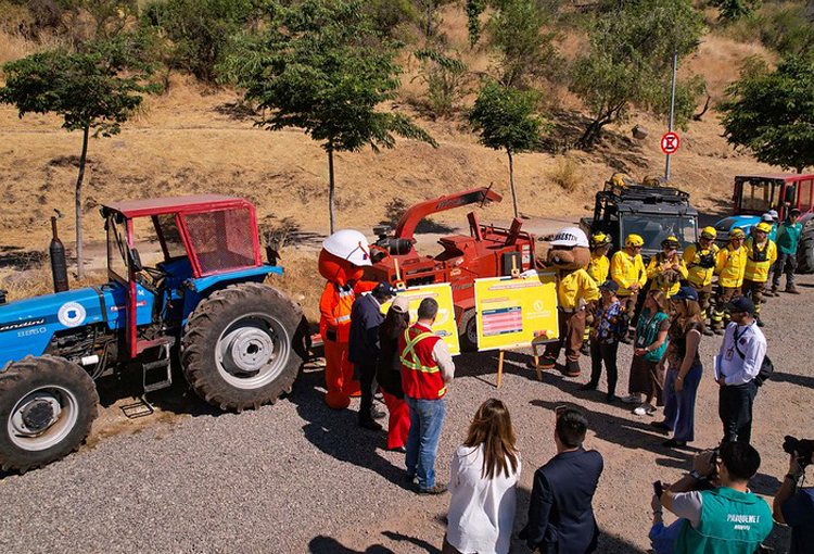 Con casi 5 mil km de cortafuegos, de Tarapacá a Magallanes, se busca evitar incendios forestales