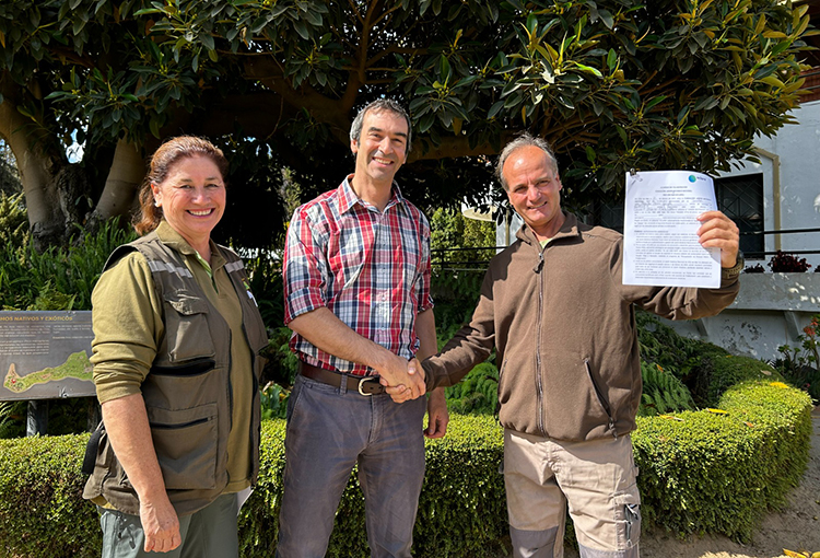 Empresa minera aportará especies nativas para recuperar el Jardín Botánico de Viña del Mar