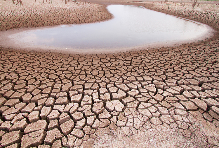 Senado aprobó proyecto de Ley Marco de Cambio Climático y concluye su tramitación