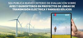Presentan criterio de evaluación en el SEIA para aves y quirópteros en proyectos eléctricos