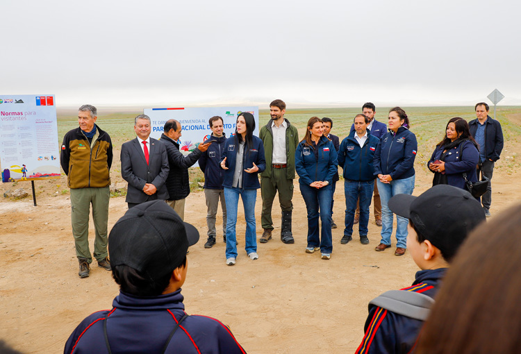 Día Nacional del Medio Ambiente: invitan a registrar la naturaleza en red social de ciencia ciudadana