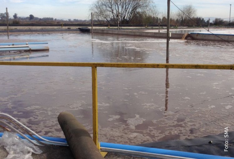 Más herramientas digitales y seguimiento masivo: así operará la nueva estrategia de riles de la SMA