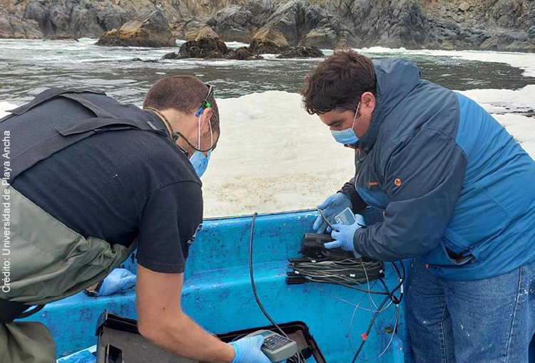 SISS investiga denuncia por altos niveles de coliformes fecales en Playa Ancha