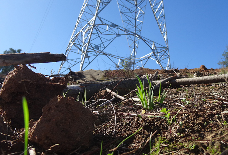 SMA ordena detener construcción de 10 torres de transmisión eléctrica en Cordillera de la Costa