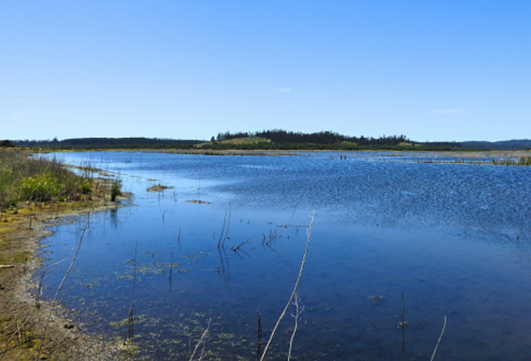 Lago Peñuelas recupera el 10% de su espejo de agua tras incremento de lluvias en invierno