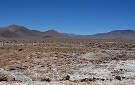 Segundo Tribunal Ambiental confirmó aprobación de proyecto Blanco para explotar litio en Atacama