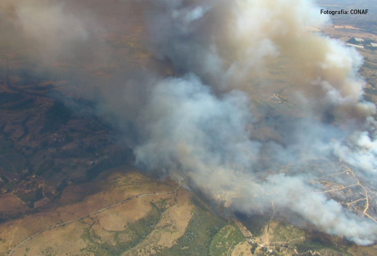 Incendios forestales en 40% del área afectada este año estarían asociados a tendidos eléctricos