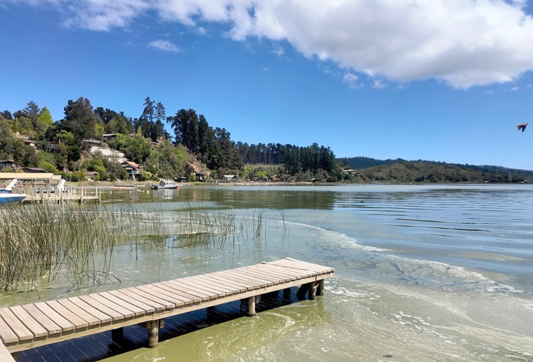 Fiscalía abre investigación de oficio por presunta contaminación en Lago Vichuquén