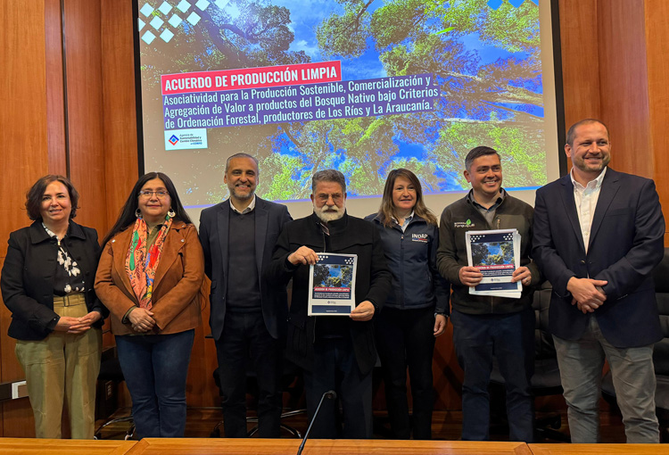 Los Ríos y La Araucanía firman acuerdo de producción limpia para potenciar el bosque nativo