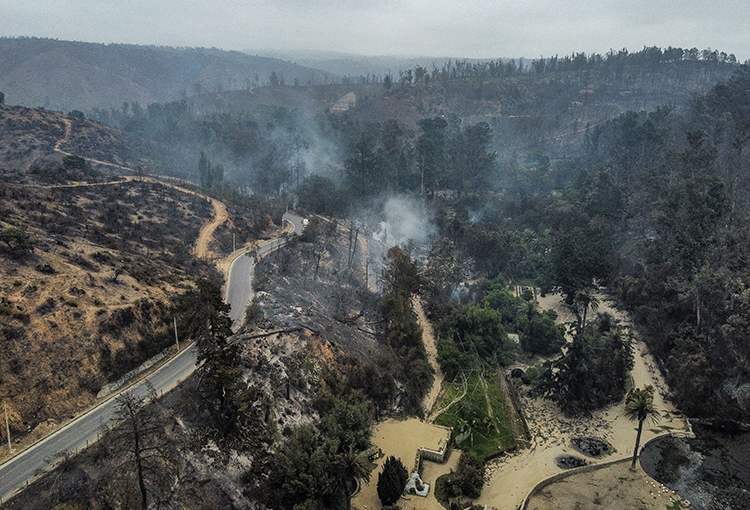 Lanzan plan para restauración forestal de zonas arrasadas por incendios en región de Valparaíso