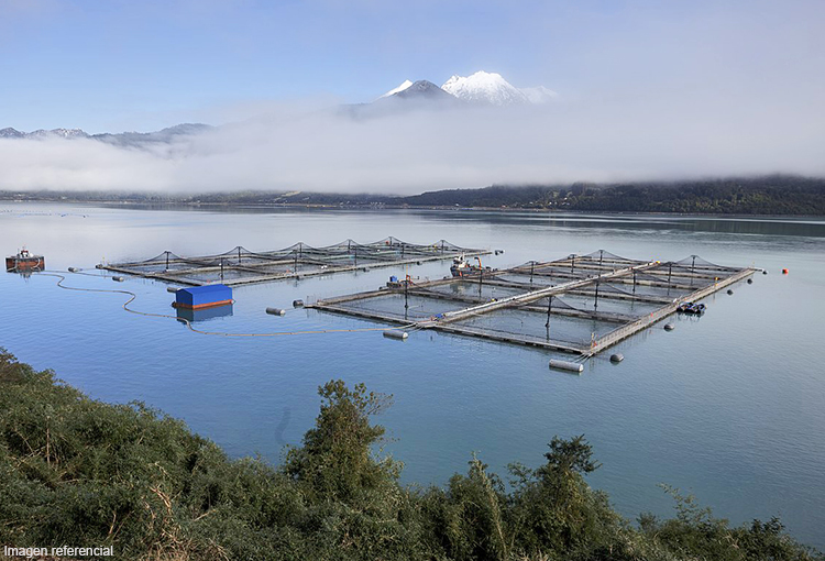 SEA publica nuevo instructivo para evaluación de proyectos acuícolas en zonas protegidas