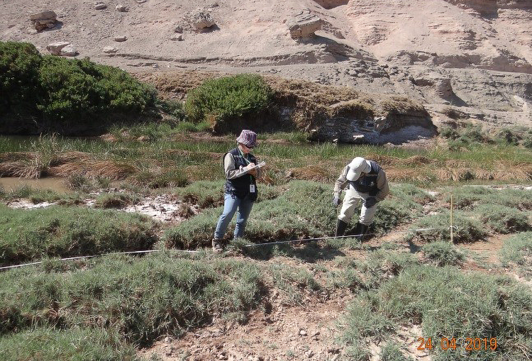 Superintendencia del Medio Ambiente inició proceso de sanción contra minera Lomas Bayas