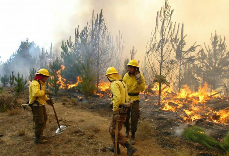 Proyecto de ley para prevenir incendios forestales: comisión mixta resolverá últimas tres diferencias