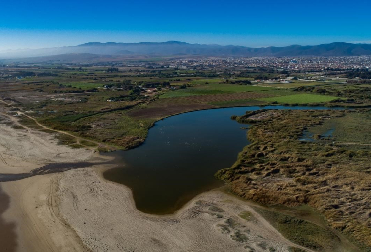 Comenzó proceso para actualizar la Guía de Delimitación y Caracterización de Humedales Urbanos