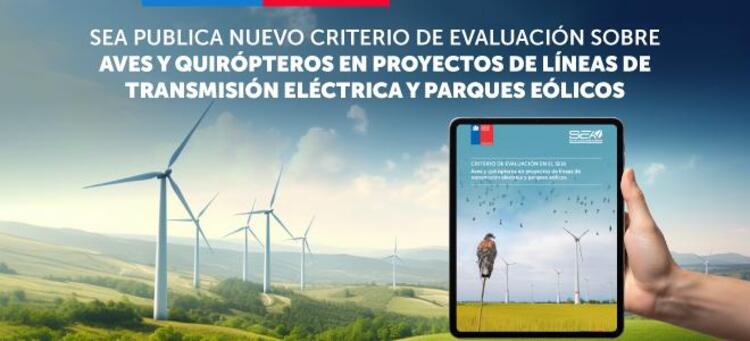 Presentan criterio de evaluación en el SEIA para aves y quirópteros en proyectos eléctricos