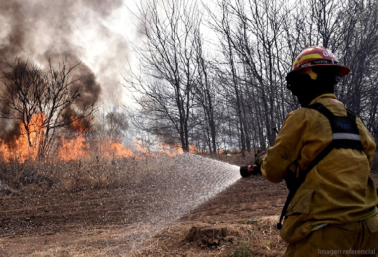 Incendio en Tierra del Fuego alcanza turberas milenarias y amenaza a parque Karukinka