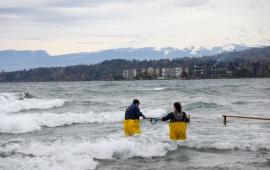 Plan de descontaminación del Lago Villarrica entró en vigencia: reducir el fósforo es su objetivo central