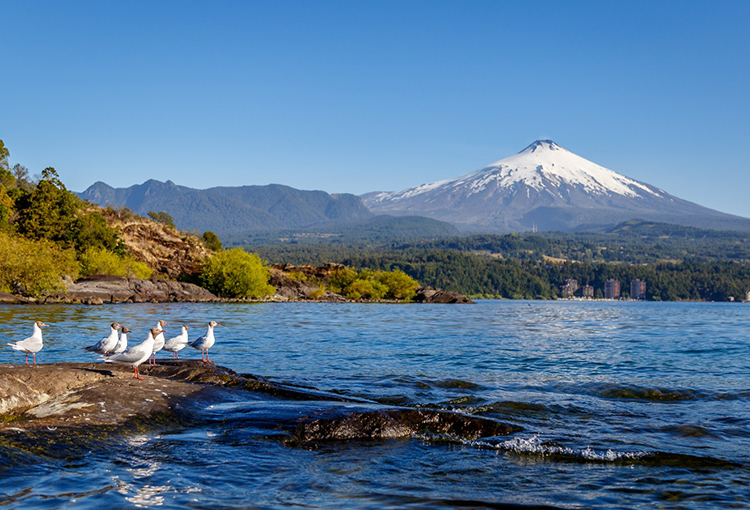 Contraloría despachó primer plan de descontaminación hídrica del país: protegerá el Lago Villarrica
