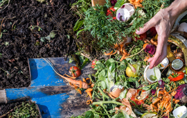 Campaña promueve el reciclaje de residuos orgánicos y educa sobre materiales compostables