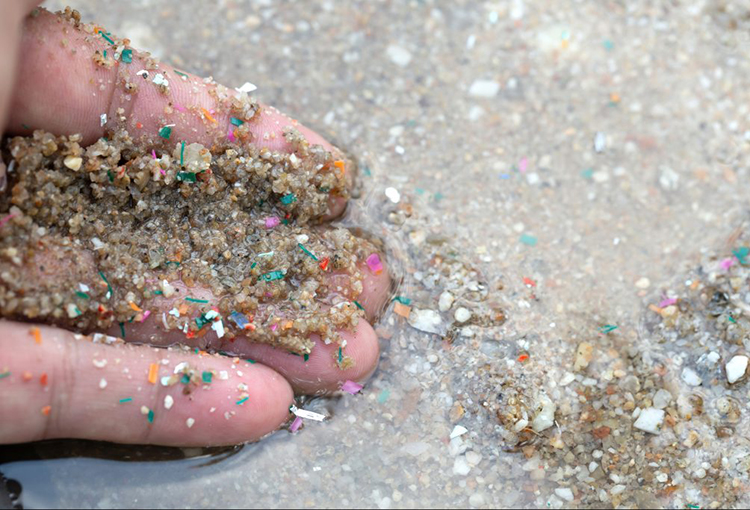 Detectan contaminación por microplásticos en estuarios de Lenga y Tubul-Raqui en el Biobío