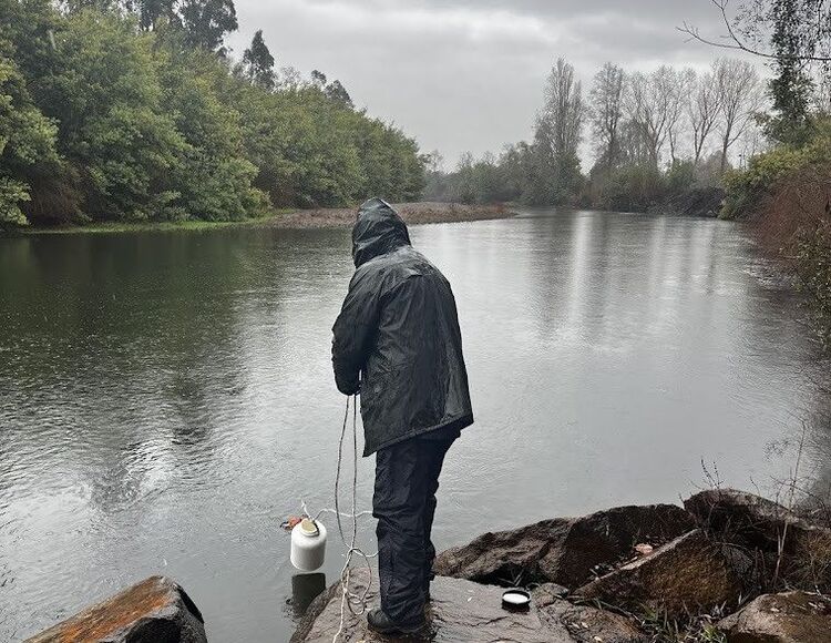 Avanza la implementación de norma histórica para la protección del río Valdivia