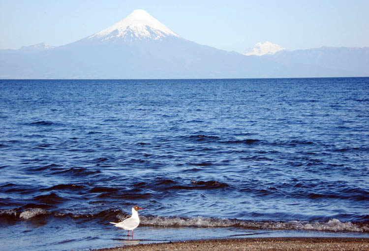 AFLOJA LA CONTAMINACIÓN