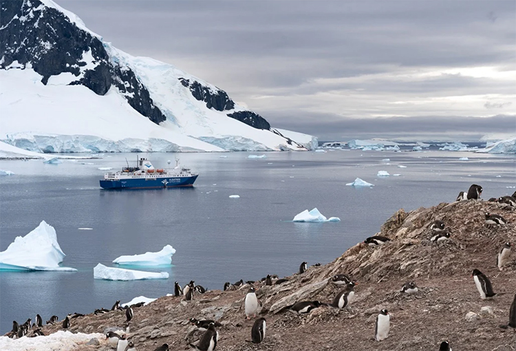 Diputados aprueban acuerdo para potenciar protección ambiental de la Antártica