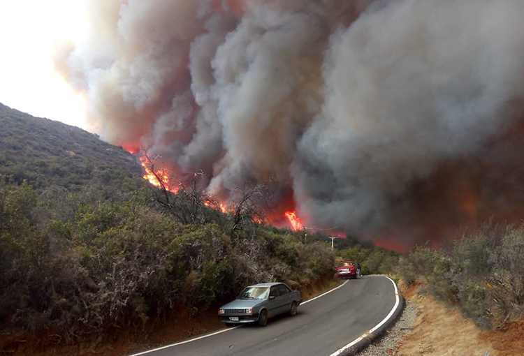 Incendio forestal en Caleu ha destruido 400 hectáreas de vegetación y 14 viviendas