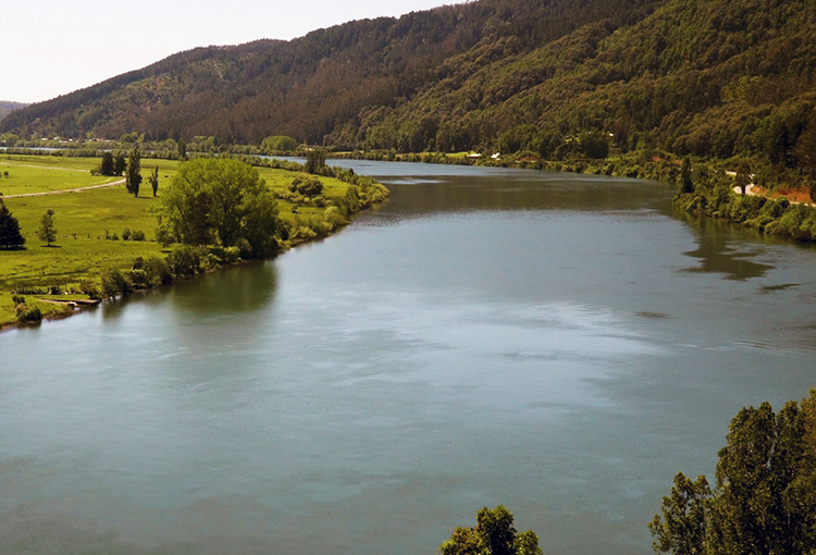 Aprueban norma para proteger la calidad de las aguas de la cuenca del río Valdivia 