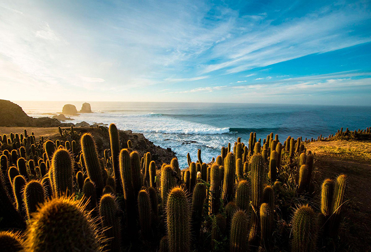 Convertirán a Pichilemu en nuevo punto estratégico de observación climática internacional