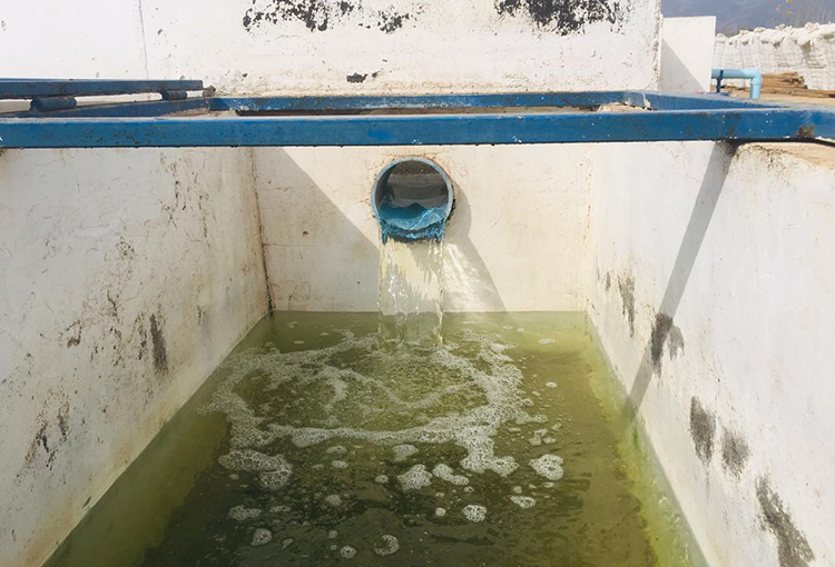 Conciliación en demanda por mal tratamiento de aguas servidas en Olmué