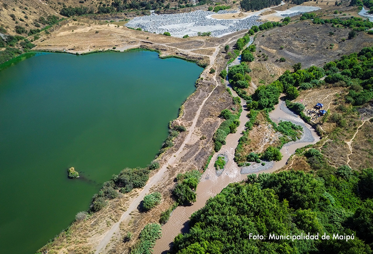 Río Mapocho, declarado humedal urbano: 647 hectáreas en 13 comunas quedan bajo protección oficial