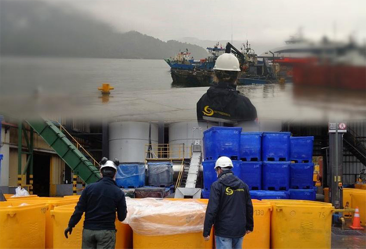 Fiscalizan manejo adecuado de salmones muertos por algas nocivas en Los Lagos y Aysén