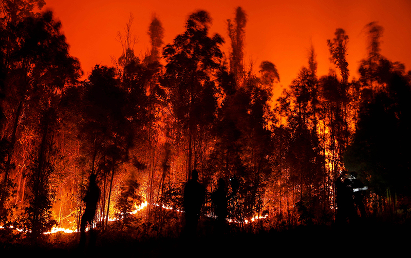 Megaincendios bajo la Lupa