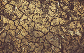 Investigación revela los diversos impactos de la hipersequía en Chile