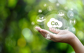 Programa ofrece apoyo y recursos para acelerar el desarrollo de soluciones climáticas innovadoras