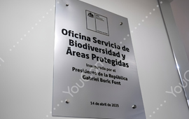 SBAP: Ministros aprueban reglamento de compensaciones de biodiversidad