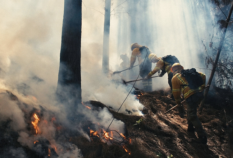 Destinarán $83 mil millones para prevenir y combatir incendios forestales 2022-2023