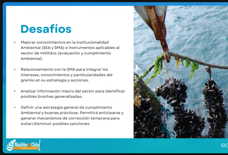 Exitoso taller sobre “Fiscalización de la SMA a los Mitílidos” realizaron ECOS y CERTES 