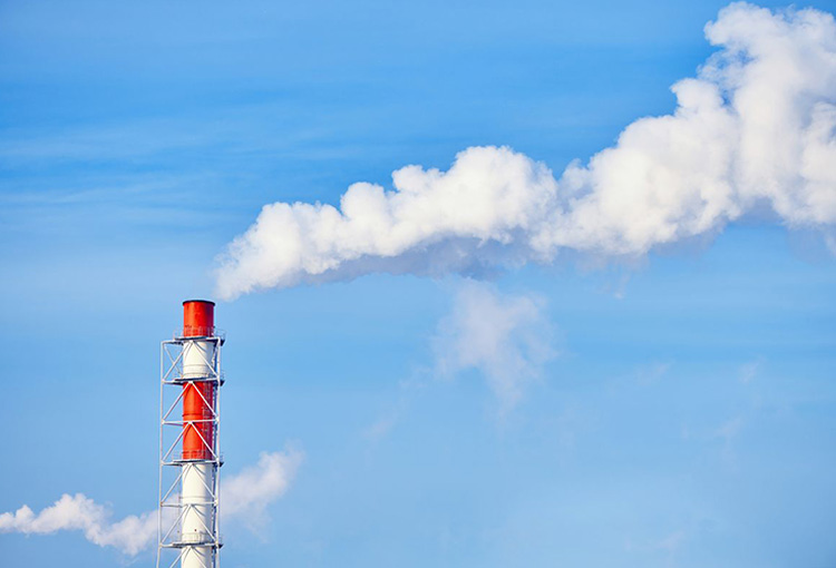 Balance Impuesto Verde 2025: Mercado compensó más de 1,6 millones de toneladas de CO2