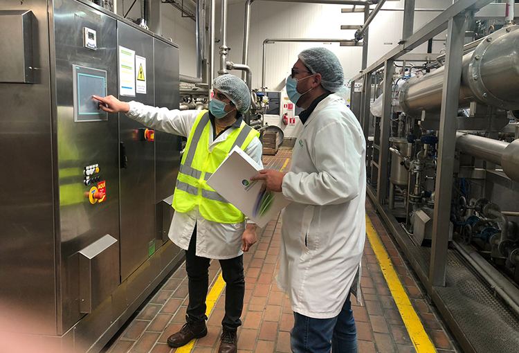 Gremios industriales piden acotar periodo de hora punta en el sistema eléctrico para reducir uso de diésel