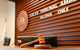 Rechazan reclamación de inmobiliaria que buscaba anular humedal urbano Cementerio en Penco