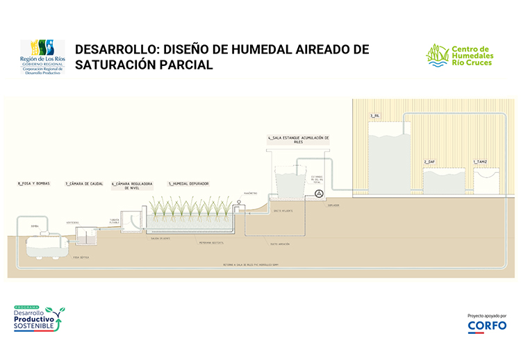Humedal construido demuestra alta eficacia para depurar residuos líquidos de industria quesera