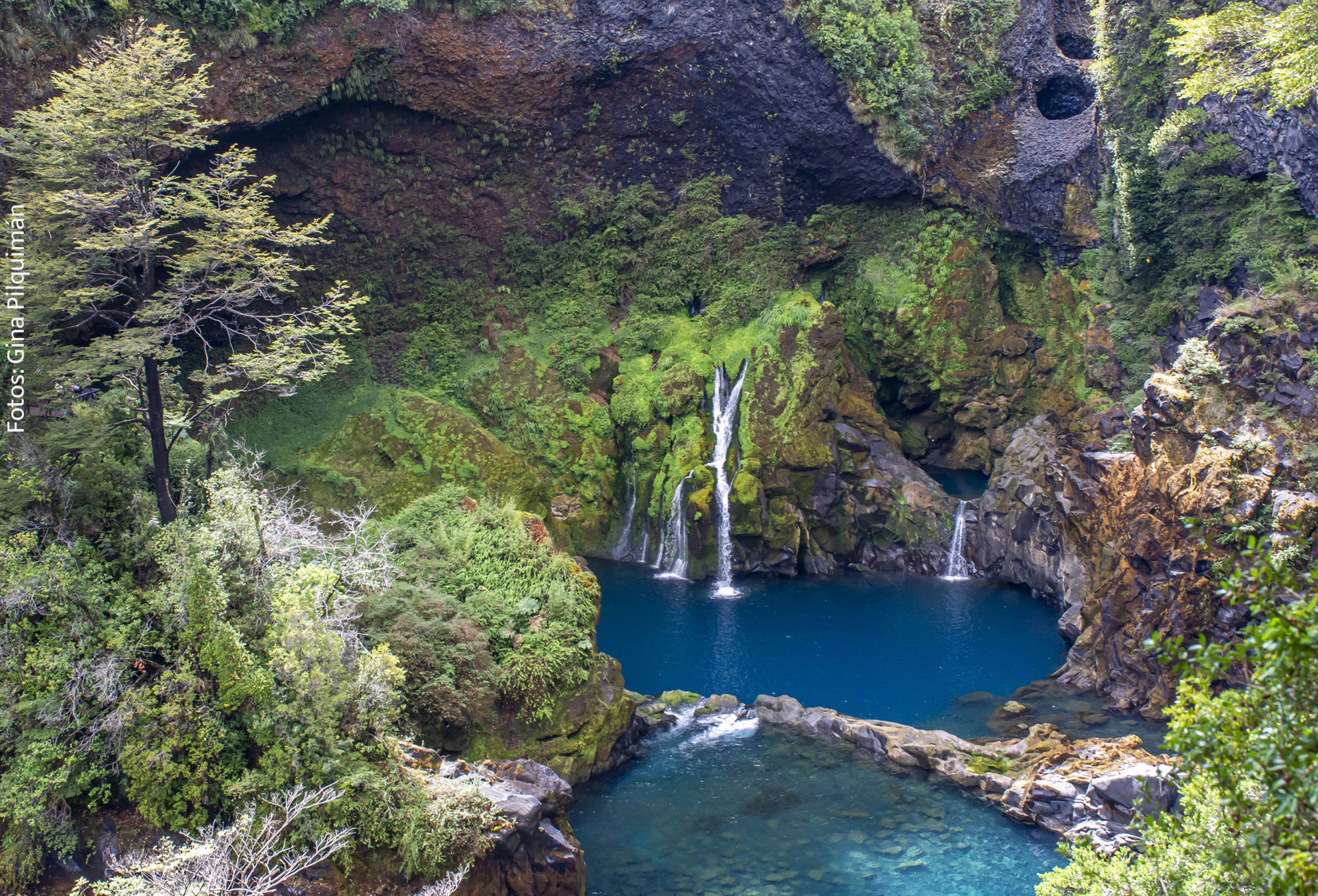 Por el Bien de la Naturaleza